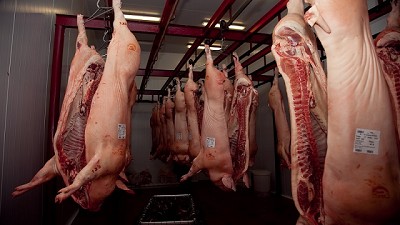 Clausuras de frigoríficos porcinos en Santa Fe y Buenos Aires