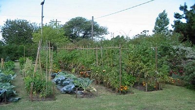 La Provincia de Buenos Aires brinda asistencia financiera a pequeños productores agroindustriales