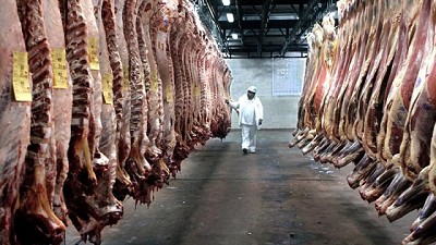 Los frigoríficos líderes lograron faenar más novillos en octubre