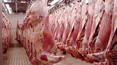 Con la faena atenuándose, ¿por qué se incrementa la participación de hembras?