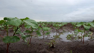 Registro de lluvias caídas en la mañana del 17 de diciembre