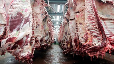 Por la demanda externa, la faena de vacas creció 18,4% entre 2017 y 2018