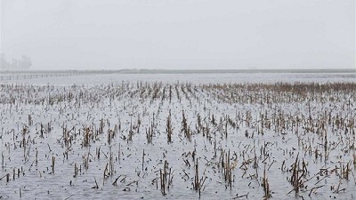 El manejo de los suelos, clave para acelerar o retardar los excesos hídricos