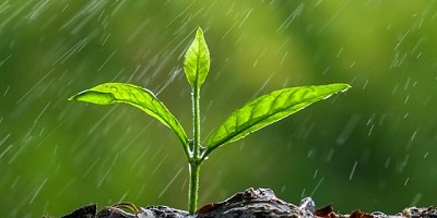 Calido e inestable, vuelven las tormentas - CCA/Agrositio