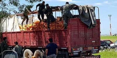 Tráfico de fauna: Ambiente incautó más de 500 aves de un camión en la RN 9