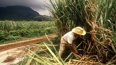 El director del INDEC destacó el apoyo de las entidades agropecuarias y los productores