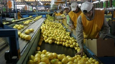 El impacto del aumento del mínimo no imponible en las economías regionales
