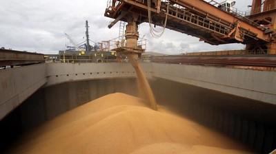 Ranking de los principales exportadores de granos y subproductos: ¿a dónde fue la mercadería en 2018?