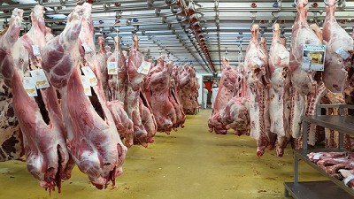 El debate del peso mínimo de faena