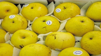 Acuerdo entre Argentina y Brasil para retomar el comercio de peras y manzanas
