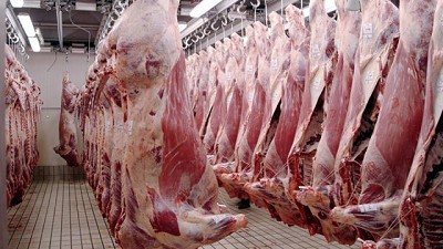 Faena argentina: continúa la tendencia a la moderación, a pesar de la caída en febrero