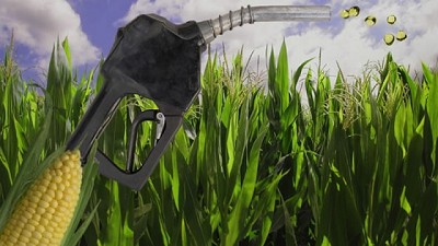 Un biocombustible en caída: mercado complicado, precios elevados y cierre de empresas