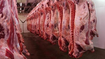 La faena de hembras superó el 52% y podría haber menos terneros durante el 2020 