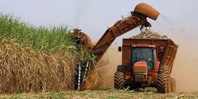 Bioetanol: en cuatro meses el NOA perdió $785 millones