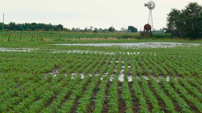 Por los excesos hídricos, se complica la siembra en el norte de Entre Ríos