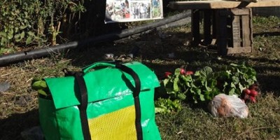 Diseñan un envase ecológico para transportar y conservar hortalizas