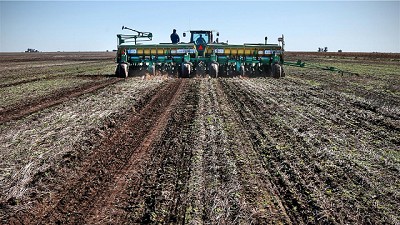 Falta sembrar medio millón de ha con trigo y el clima alarga el suspenso