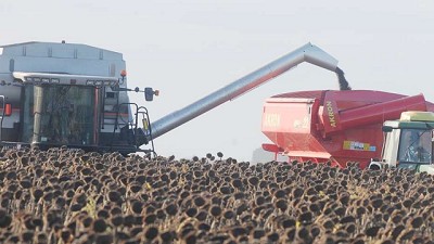 La FAO y la OCDE presentan las Perspectivas Agrícolas 2019-2028