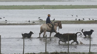 Alertan que en el norte de Santa Fe un millón de hectáreas siguen bajo el agua