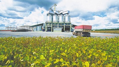 Más capacitación y entrenamiento en las chacras experimentales de Agroindustria bonaerense