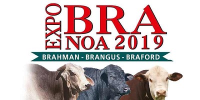 Se viene una nueva edición de EXPOBRA en Santiago del Estero
