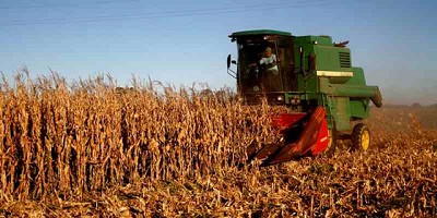 Aumentan un 29% las exportaciones agroindustriales desde Puerto Quequén