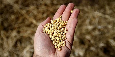 El INASE continúa con controles del uso de semillas en la presente campaña agrícola