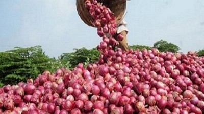 Seguridad y simplificación en operaciones para exportar cebolla fresca