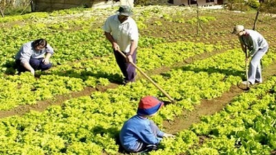 Se ejecutarán nuevos proyectos de inversión rural por 26,5 millones de pesos en Neuquén