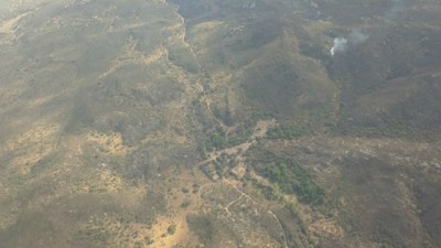 Emergencia por incendios: plazo hasta el 31 para las Declaraciones Juradas