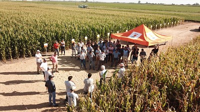 Genética y agronomía fueron los ejes de un nuevo encuentro de KWS