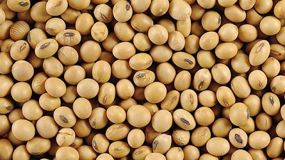 Débiles exportaciones de soja en EEUU y stocks crecientes, por Iván Barbero