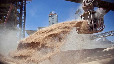 Agricultura y la Bolsa de Comercio de Rosario trabajan en conjunto frente a la pandemia