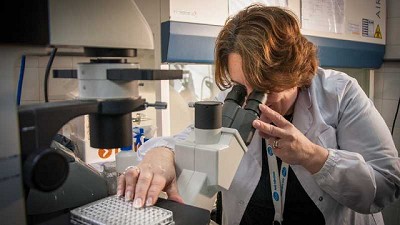 Científicos argentinos trabajan en productos biológicos contra el SARS-CoV-2