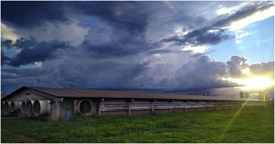 Ventilación, temperatura y humedad: ¿cómo lograr óptimas condiciones ambientales en época invernal?