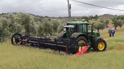 Moresil diseñó un cabezal hilerador que se acopla directamente al tractor