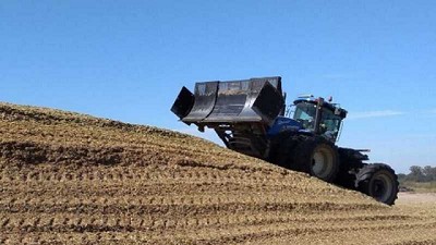 El silo de maíz, herramienta central de la producción lechera
