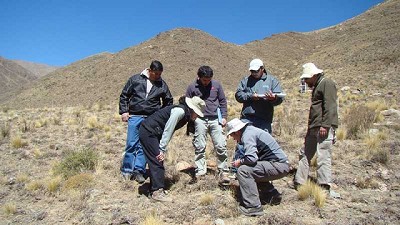 Estudian el impacto del cambio climático en los ecosistemas áridos