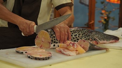 COVID-19: analizaron aplicación de protocolos preventivos en agroindustrias