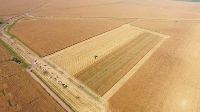 Tecnologías para ganarle 5 toneladas por hectárea al maíz