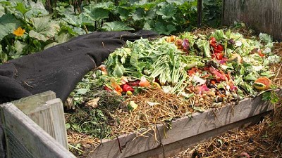 Cómo realizar compost casero de manera sencilla