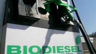 Si no se cumple la ley desaparecerán más de treinta pymes del interior del país productoras de biodiesel