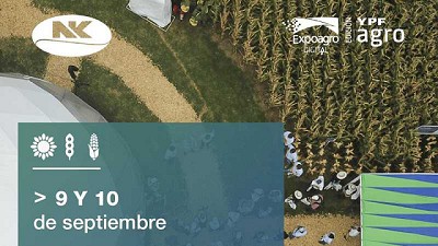 Expoagro Digital: NK afianza su compromiso innovador presentando materiales de alto potencial