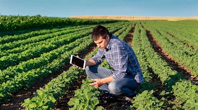 Cooperación sin precedentes: AAPRESID, CREA, INTA y FAUBA se alían por la sustentabilidad