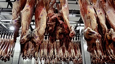 Advierten que pese al alto nivel de faena, los frigoríficos tienen pérdidas económicas