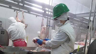 En Septiembre el consumo de carne vacuna por habitante se ubicó en 50,5 kg/año