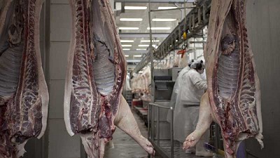 La Federación de Productores Porcinos considera clave al Senasa para afianzar la producción