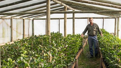 Agricultura aprobó proyectos de agricultura familiar para Salta