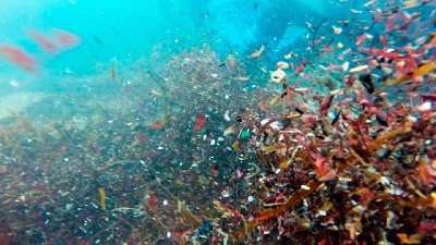 Los varios desafíos ambientales que nos deja el 2020