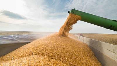 Posición institucional de Aapresid ante el cierre temporal de exportaciones de maíz
